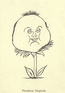 Phattfacia Stupenda door Edward Lear